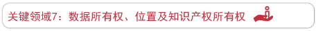 关键领域7：数据所有权、位置及知识产权所有权[T